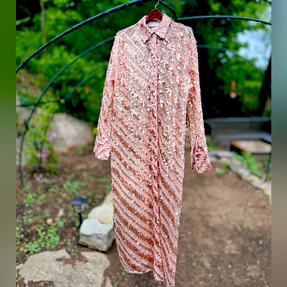 ZARA BUTTON DOWN SEQUINED SHEER DUSTER DRESS - Picture 10 of 14